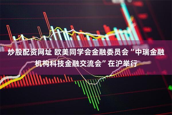 炒股配资网址 欧美同学会金融委员会“中瑞金融机构科技金融交流会”在沪举行