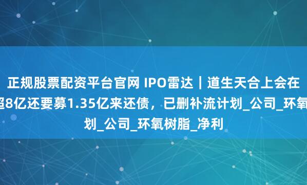 正规股票配资平台官网 IPO雷达｜道生天合上会在即，账上超8亿还要募1.35亿来还债，已删补流计划_公司_环氧树脂_净利