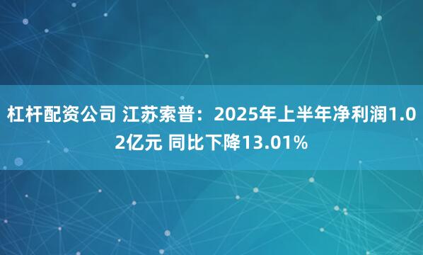 杠杆配资公司 江苏索普：2025年上半年净利润1.02亿元 同比下降13.01%