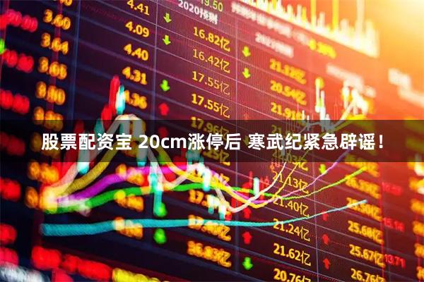股票配资宝 20cm涨停后 寒武纪紧急辟谣！